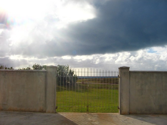 First Light after the Storm in the Courtyard of the Lab, Bermuda.jpg